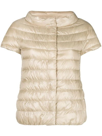 Herno Shortsleeved Padded Jacket In Neutrals