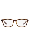 Ray Ban 55mm Square Optical Glasses In Dark Havana