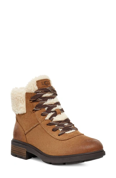 Ugg Harrison Cozy Lace-up Waterproof Boot In Chestnut
