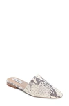 Steve Madden Trace Studded Mule In Natural Snake Print Stud