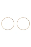 Tasha Hoop Earrings In Gold