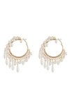 Tasha Imitation Pearl Hoop Earrings In Gold