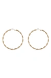 Tasha Twist Hoop Earrings In Gold