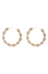 Tasha Twist Crystal Hoop Earrings In Gold/ Crystal