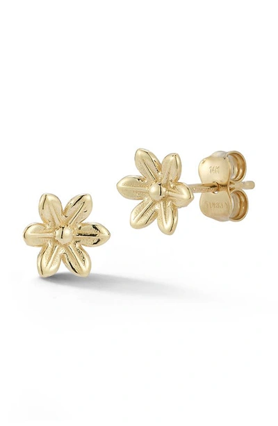 Ember Fine Jewelry 14k Yellow Gold Flower Stud Earrings