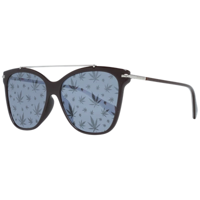 Police Lice Women Women's Sunglasses In Brown