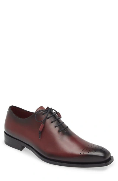 Mezlan Brogue Oxford In Burgundy