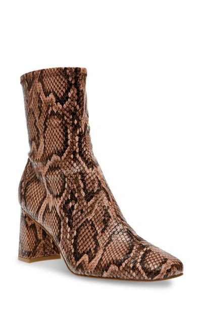 Steve Madden Harli Bootie In Snake