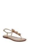 Sam Edelman Gigi Flora Sandal In Ivory