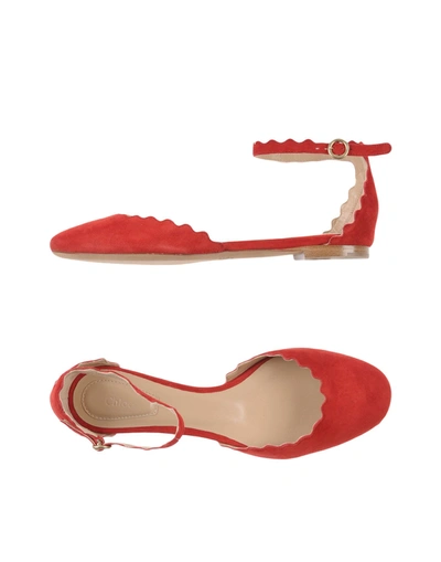 Chloé Ballet Flats In Red