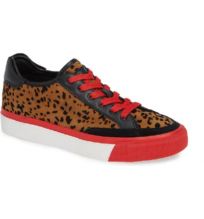 Rag & Bone Army Low-top Sneakers In Tan Cheetah