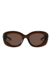 Fifth & Ninth Bianca 54mm Polarized Round Sunglasses In Brown