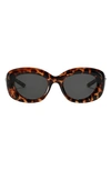 Fifth & Ninth Bianca 54mm Polarized Round Sunglasses In Torte