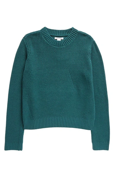 Nordstrom Kids' Cotton Pullover Sweater In Green Bug