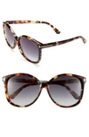 Tom Ford Alicia 59mm Sunglasses In Havana/ Blue