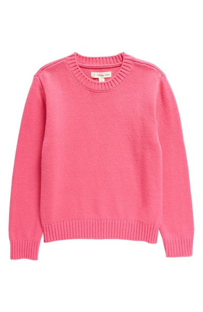 Tucker + Tate Kids' Crewneck Pullover Sweater In Pink Rouge