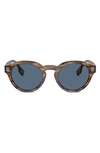 Burberry 50mm Phantos Sunglasses In Brown