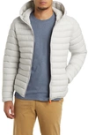 Save The Duck Donald Hooded Puffer Jacket In Frozen Grey