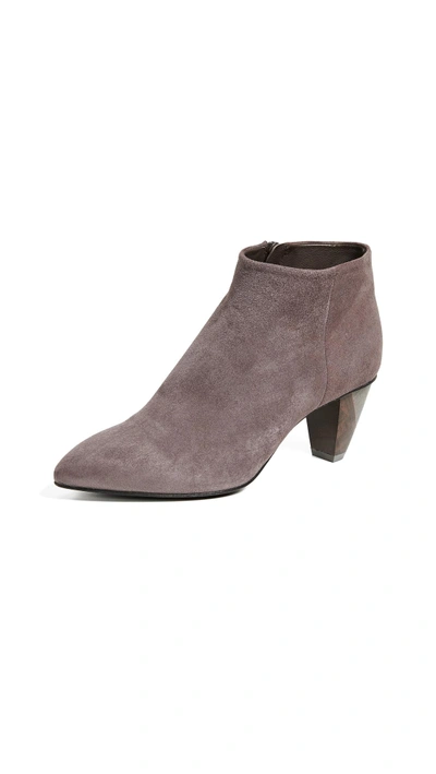 Coclico Shoes Jalapa Point Toe Booties In Ante Cinder