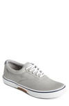 Sperry Halyard Saltwashed Low Top Sneaker In Grey