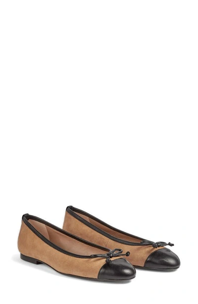 Lk Bennett Kara Ballet Flat In Sand Black