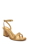 Circus Ny Hartlie Ankle Strap Sandal In Millenia Gold
