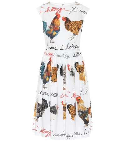 Dolce & Gabbana Hen-printed Cotton Poplin Dress In Multicoloured