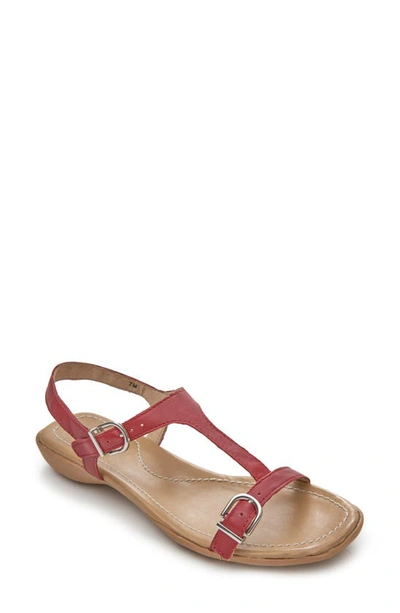 Vaneli Taletha T-strap Sandal In Red