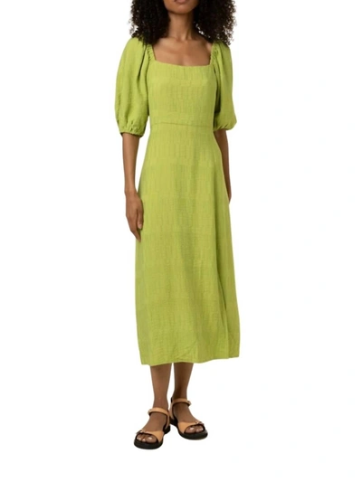 Frnch Celine Dress In Green