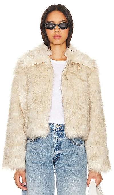 Steve Madden Juniper Faux Fur Coat In White