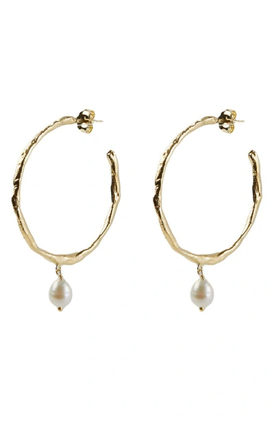 Argento Vivo Freshwater Pearl Molten Hoop Drop Earrings In Gold