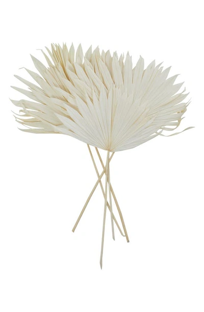 Uma White Dried Palm Leaf