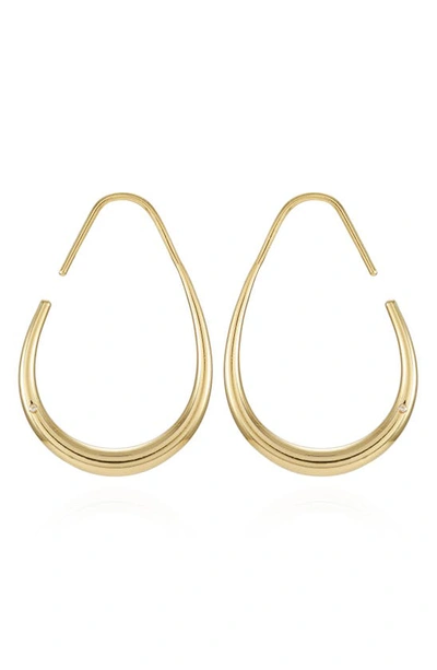 T Tahari Crystal Hoop Earrings In Goldtone
