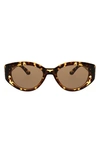 Bcbg 50mm Midsize Oval Sunglasses In Tortoise