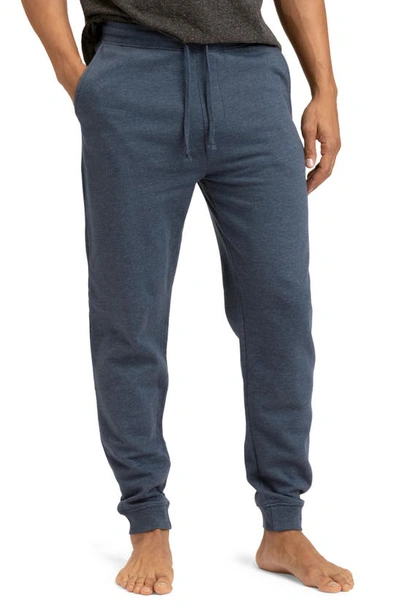 Threads 4 Thought Classic Fleece Joggers In Serene