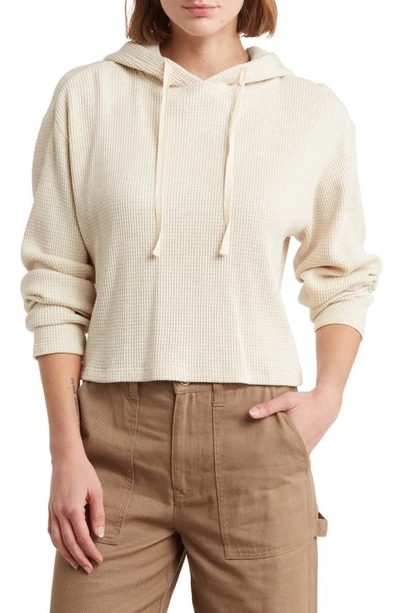 Abound Waffle Knit Crop Pullover Hoodie In Beige Oatmeal Light Heather