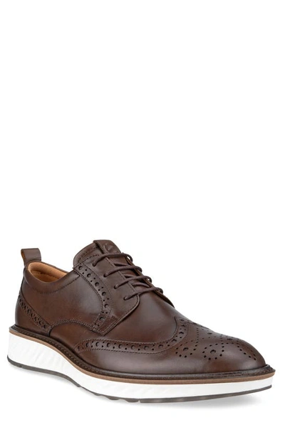Ecco St.1 Hybrid Wingtip In Cocoa Brown