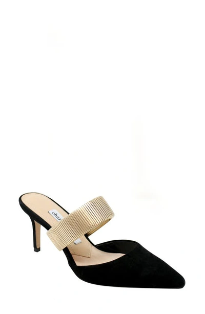 Charles David Alfie Pointed Toe Mule In Black