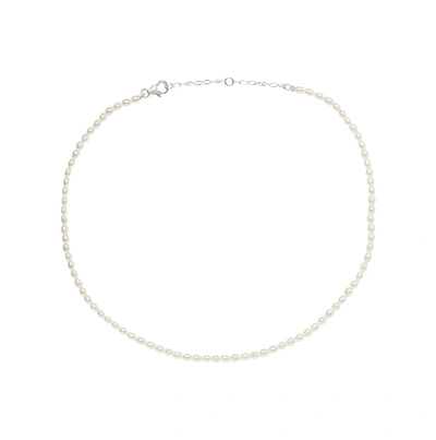 Olivia & Pearl Seed Pearl Necklace White In Spn/white/ss