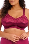 Elomi Cate Full Figure Soft Cup Bra In Berry