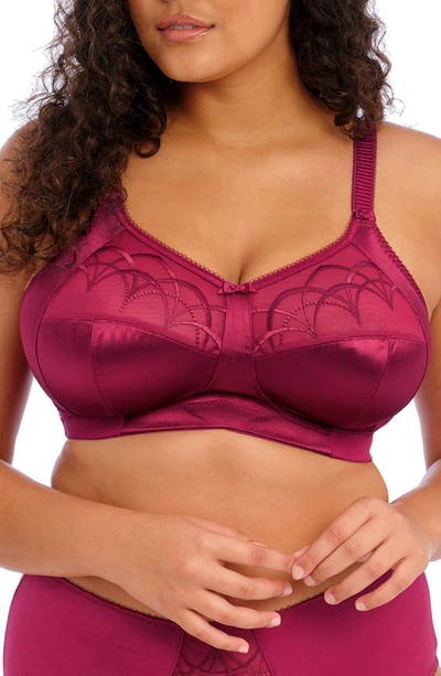 Elomi Cate Full Figure Soft Cup Bra In Berry