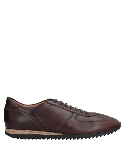 Franceschetti Sneakers In Brown