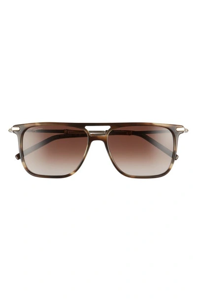Ferragamo Salvatore  57mm Square Sunglasses In Striped Khaki
