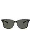 Costa Del Mar Kailano 53mm Polarized Square Sunglasses In Tortoise