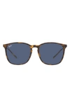 Ray Ban 56mm Sunglasses In Brown/ Dark Blue