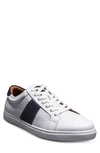 Allen Edmonds Courtside Sneaker In White/ Navy