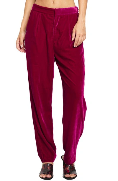 Know One Cares Velvet Suit Pants In Fuchsia