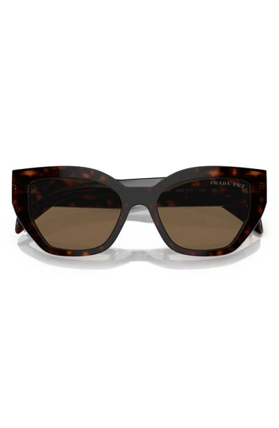 Prada 55mm Butterfly Sunglasses In Dark Brown