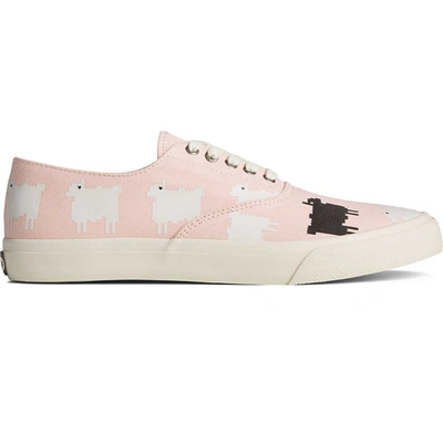 Sperry Cloud W & W Pink Pink/white Sts24885 Men's