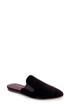 Splendid Leeze Pointed Toe Mule In Bordeaux